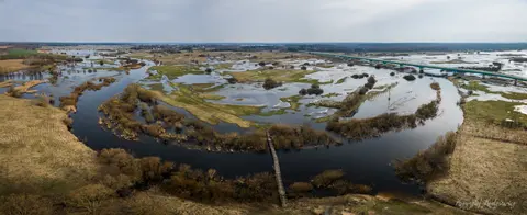 Rzeka kreśli szeroki łuk w mozaice podmokłych łąk i kanałów.