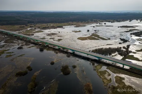 Długi most przecina rozlewiska rozciągające się aż po linię lasu.
