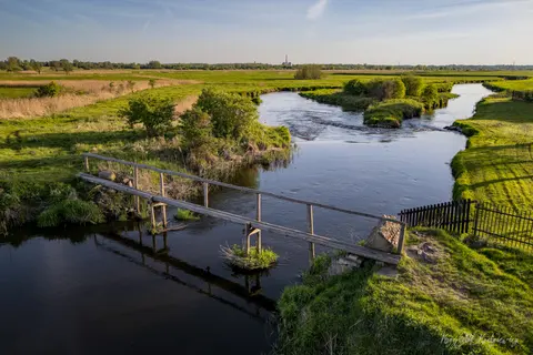 Drewniany mostek nad rzeką otoczoną soczystą zielenią łąk i trzcin.