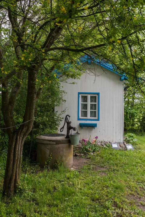 Błękitne okno drewnianego domu ukryte wśród gałęzi i przydomowej zieleni.