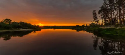 Pomarańczowa łuna zachodu odbija się w spokojnej wodzie przy skraju lasu.