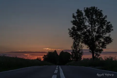 Pusta szosa prowadzi ku zamglonej dolinie i ostatniemu światłu na horyzoncie.