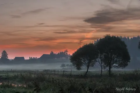 Niska mgła rozdziela ciemne sylwetki drzew, łąkę i dalekie wiejskie zabudowania.