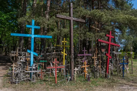 Kolorowe krzyże o różnych rozmiarach stoją pośród wysokich, leśnych pni.