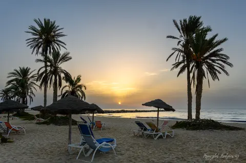 Palmy, leżaki i słomiane parasole na spokojnej plaży o zachodzie słońca.